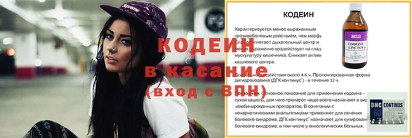 гидра Верхний Тагил