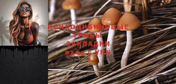 круглые Верея