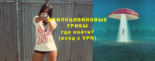 гидра Верхний Тагил