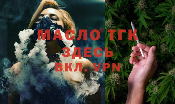 гидра Верхний Тагил